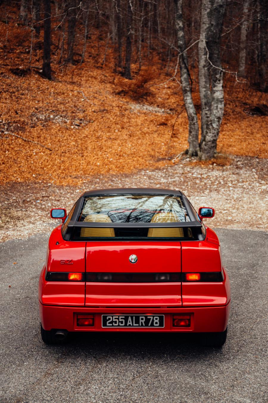  Alfa Romeo S.Z. 1989 года  (фото 45 из 86)